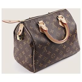 Louis Vuitton-Speedy 25 handbag-Brown