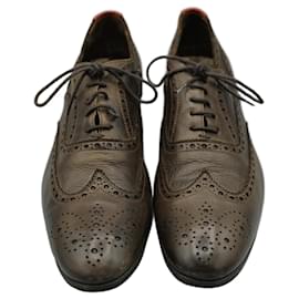 Paul Smith-Zapato de Caballero de Piel-Marrone