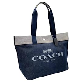 Coach-Coach Horse and carriage-Blue