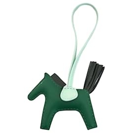 Charme Rodeo Hermès Multicolore Vert
