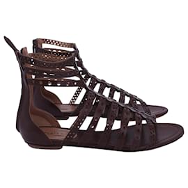 Alaïa-Alaia Sandales Plates Gladiator Bordeaux en Cuir Marron-Marron