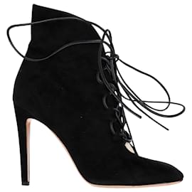 Gianvito Rossi-Gianvito Rossi Lace-Up Heeled Boots in Black Suede-Black