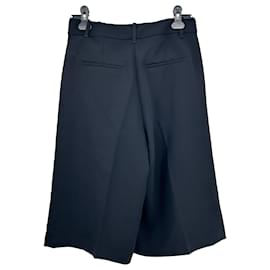 Autre Marque-ARITZIA  Shorts T.US 8 polyester-Black