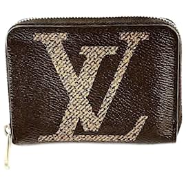 Louis Vuitton-Sacs à main, portefeuilles, étuis-Autre