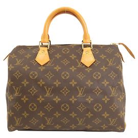 Louis Vuitton Speedy 30 Braun