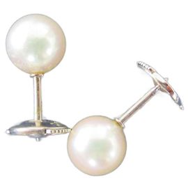 Mikimoto Perlen-/Weißgold-Ohrringe. Weiß