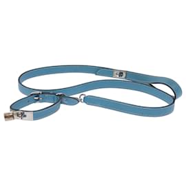 Hermès-HERMES Pet Carry Leather Light Blue Auth 73427-Light blue