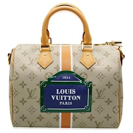 Louis Vuitton-Louis Vuitton Beige Ocher Monopaname Canvas Speedy Bandouliere 25-Multiple colors,Beige