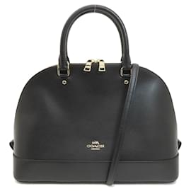 Coach-Entrenador Sierra-Negro