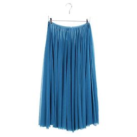 Céline Blue Long Skirt Blue