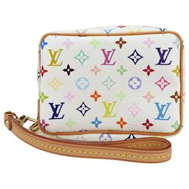 Louis Vuitton-Louis Vuitton Wapity-Mehrfarben