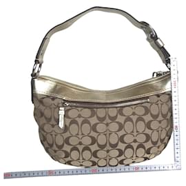 Coach-Firma dell'allenatore-Beige