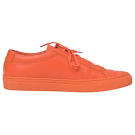 Autre Marque-Common Projects Achilles Low Sneakers in Orange Leather-Orange,Coral