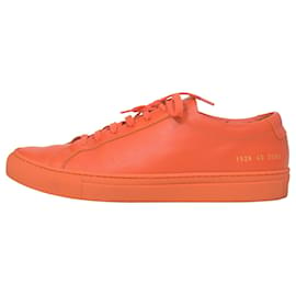 Autre Marque-Common Projects Achilles Low Sneakers in Orange Leather-Orange,Coral