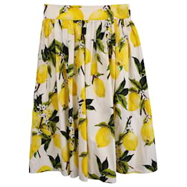 Dolce & Gabbana-Dolce & Gabbana Lemon Skirt in Yellow Cotton-Yellow