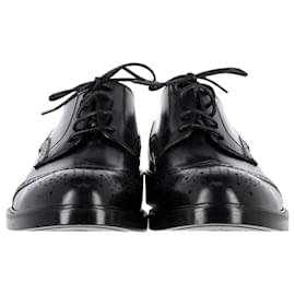 Dolce & Gabbana-Dolce & Gabbana Chunky Perforated Oxford Shoes in Black Leather-Black