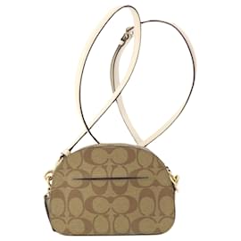 Coach-Unterschrift des Trainers-Beige