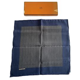 Hermès-Lenços Masculinos-Dourado,Azul marinho