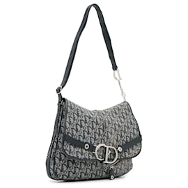 Dior-Gray Dior Oblique Crossbody Bag-Other