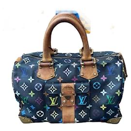 Louis Vuitton-Speedy multicolore-Noir