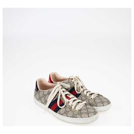 Gucci-Gucci Beige/Brown GG Supreme Ace Sneakers-Beige