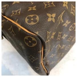 Louis Vuitton-Handtaschen-Braun