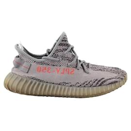 Adidas Baskets gris Gris