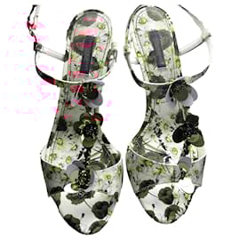 Dolce & Gabbana-Sandals-Other