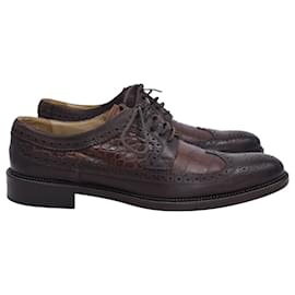Dolce & Gabbana-D&G Dolce & Gabbana Textured Oxfords in Brown Leather-Brown