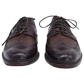 Dolce & Gabbana-D&G Dolce & Gabbana Textured Oxfords in Brown Leather-Brown