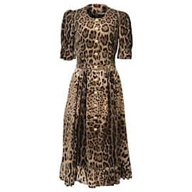 Dolce & Gabbana-Dolce & Gabbana Ruffle-Trim A-Line Midi Dress in Animal Print Velvet-Other,Python print