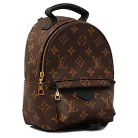 Louis Vuitton-Louis Vuitton Monogram Macassar Palm Springs MINI Rucksack-Braun