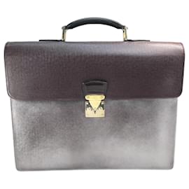 Louis Vuitton-Louis Vuitton Taiga Briefcase-Brown