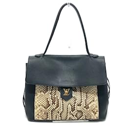 Louis Vuitton-Borsa in pelle nera Louis Vuitton N92280-Nero