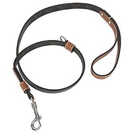 Céline Celine Triomphe Dog Lead in Tan Brown Brown