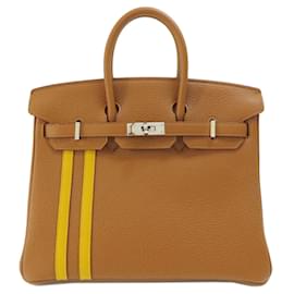 Hermès-Hermes Birkin Officier Gold Handbag-Golden