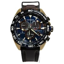 Citizens of Humanity-Citizen Promaster CB5039-11L Radio Solar Watch-Other