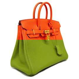 Hermès-Hermes Handbag Birkin 25 Z Engraved Togo Rouge Tomato-Other