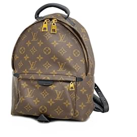 Louis Vuitton-Mochila Palm Springs PM Monograma Louis Vuitton-Castaño,Negro