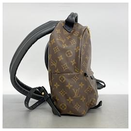 Louis Vuitton-Mochila Palm Springs PM Monograma Louis Vuitton-Castaño,Negro