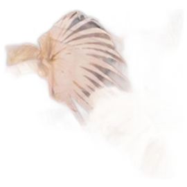 Sciarpa in seta Fendi Marrone Arancione