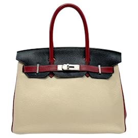 Hermès-Hermès Birkin 30-Mehrfarben