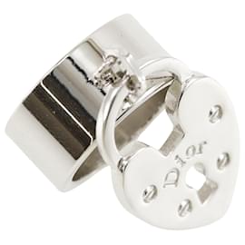 Dior-Dior ---Silvery