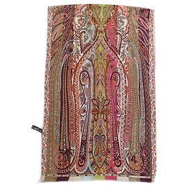 Etro Pañuelos Multicolor