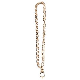 Etro Gold long chain-link necklace Golden