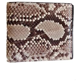Burberry-Python-Multiple colors