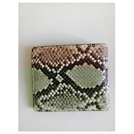 Burberry-Python-Multiple colors