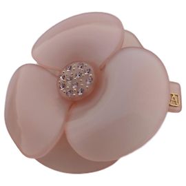 Alexandre de Paris Camelia Rosa
