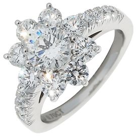 Harry Winston Pt950 Diamant Sonnenblumenring Andere
