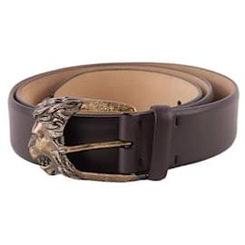 Tod's-Leather belt-Brown